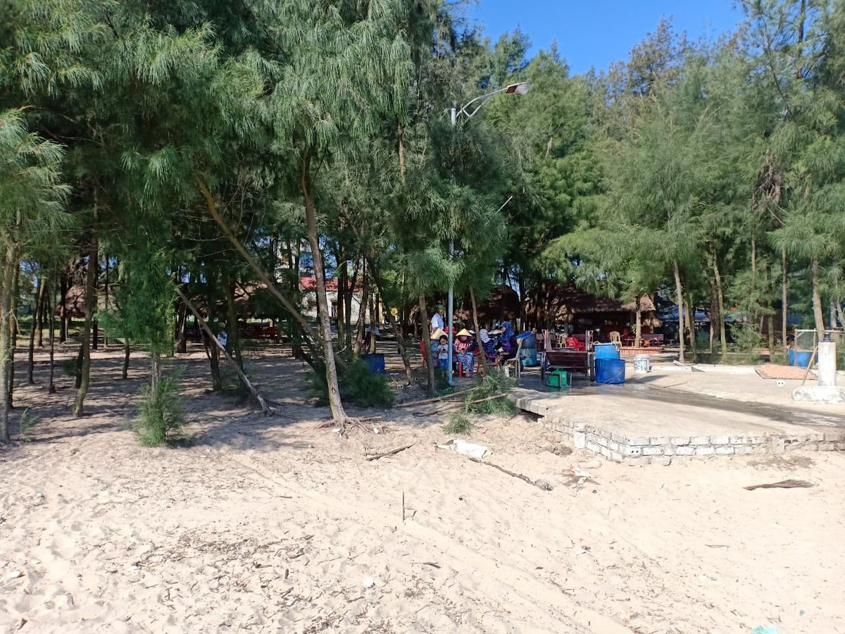 Thanh Hoa xoa rung phong ho de lam du an du lich?-Hinh-4