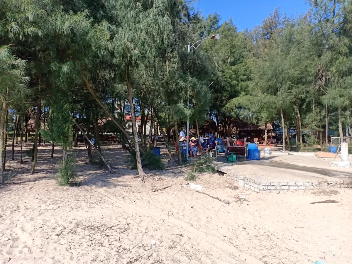 Thanh Hoa xoa rung phong ho de lam du an du lich?-Hinh-4