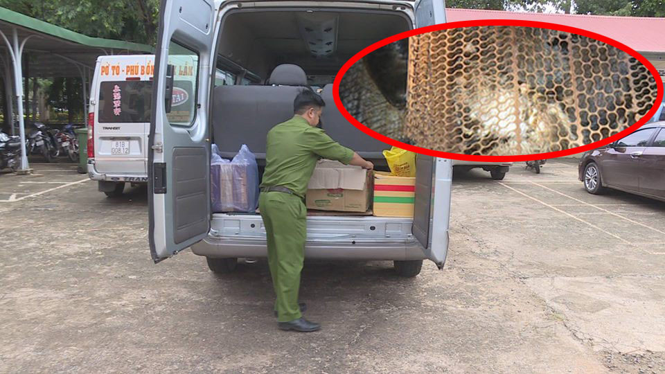 Hang chuc ca the dong vat song suyt bi dua len ban nhau