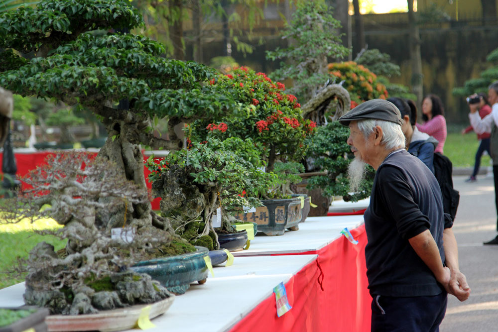 “Trưng bày sinh vật cảnh Thủ đô 2018” kéo dài đến hết ngày 20/1/2019