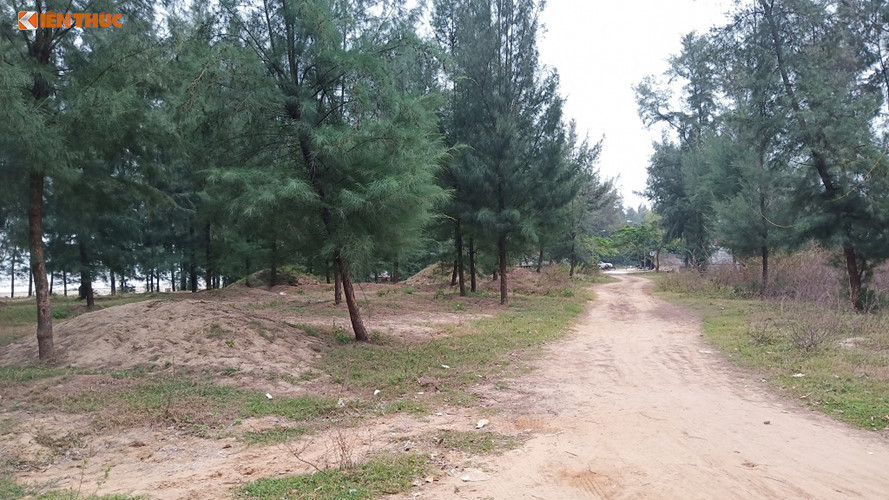 Thanh hóa xóa rừng phòng hộ làm du lịch: Dự án 10 năm chậm trễ vẫn không bị thu hồi Thanh hoa xoa rung phong ho lam du lich: Du an 10 nam cham tre van khong bi thu hoi