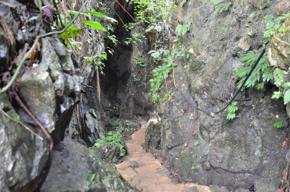Hơn nữa, phần lớn gốc quýt được trồng trong các lân đá đều có tuổi đời từ vài chục năm, vì thế sản lượng cho thu hoạch sẽ không cao.