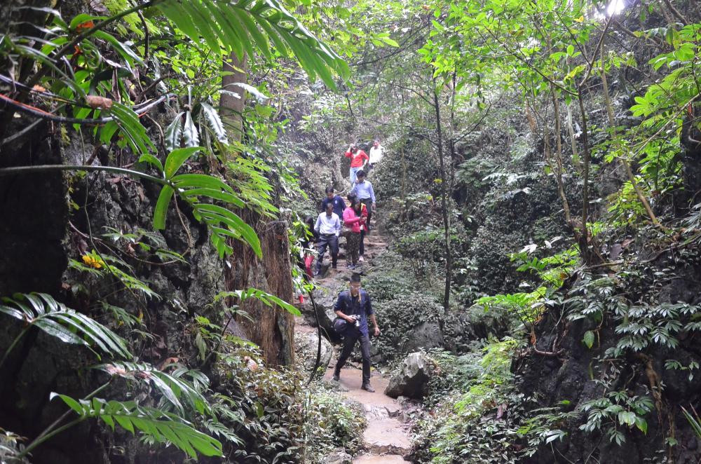 Hiện nay, tại Bắc Sơn, số vườn quýt được trồng trong các lân đá cũng chỉ đếm được trên đầu ngón tay. Vườn quýt Hang Hú tại thôn Hồng Phong 1, xã Chiến Thắng là một trong số ít vườn quýt trong lân đá như vậy.