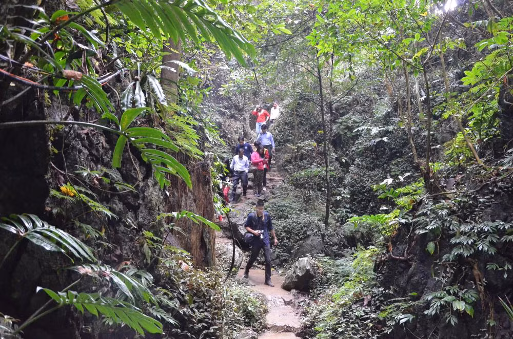 Hiện nay, tại Bắc Sơn, số vườn quýt được trồng trong các lân đá cũng chỉ đếm được trên đầu ngón tay. Vườn quýt Hang Hú tại thôn Hồng Phong 1, xã Chiến Thắng là một trong số ít vườn quýt trong lân đá như vậy.