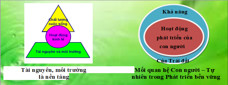 Kinh te xanh: Xu the trong phat trien ben vung va ung pho voi bien doi khi hau-Hinh-4