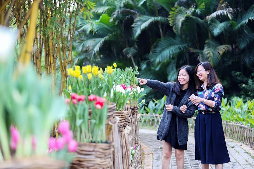 Lễ hội được tổ chức trên diện tích hơn 1500m2 tại Công viên mùa Xuân Khu đô thị Ecopark được trang trí bằng 180,000 cây hoa tulip rực rỡ sắc màu từ vàng tươi, trắng tinh khôi, hồng dịu dàng, đỏ rực rỡ, tím e ấp... 