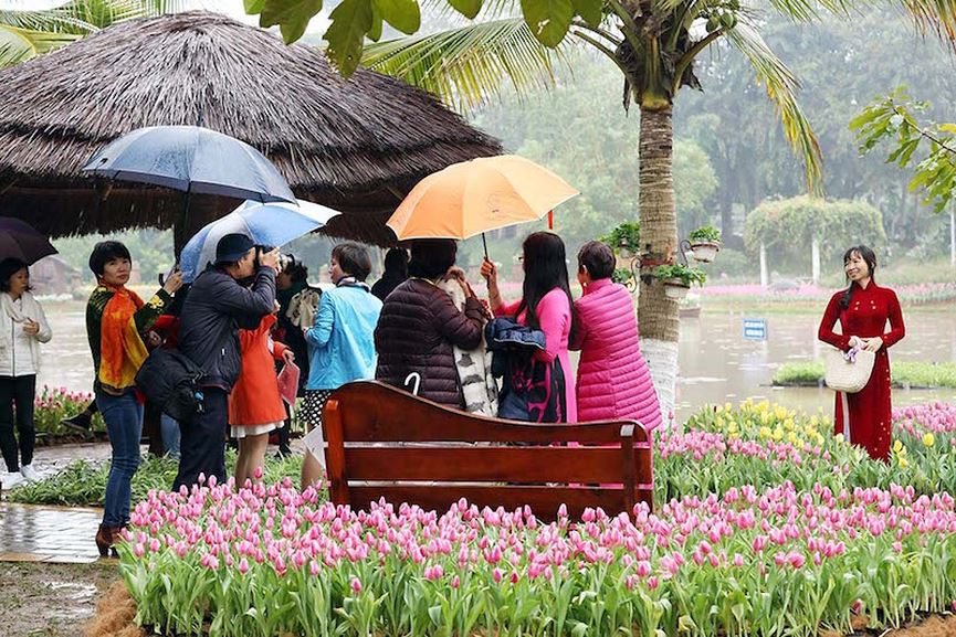 Từ lâu, hoa tulip đã trở thành biểu tượng của đất nước Hà Lan xinh đẹp, tượng trưng cho sự giàu có sung túc, cho tình yêu và cuộc sống vĩnh cửu bởi tulip thường nở rộ vào mùa Xuân – mùa của sự sống tràn trề nảy nở. 