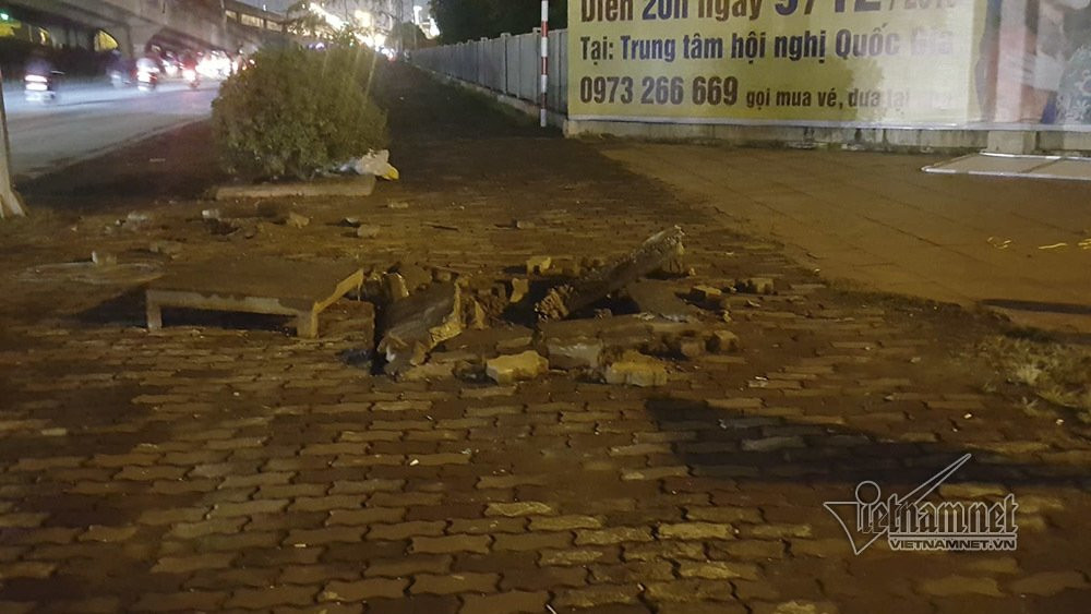 Doc gi hom nay 10/12: Be so sinh nguyen day ron bi bo roi, kien can sung tay-Hinh-4