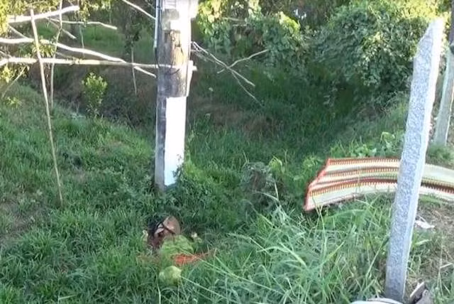 Doc gi hom nay 10/12: Be so sinh nguyen day ron bi bo roi, kien can sung tay-Hinh-2