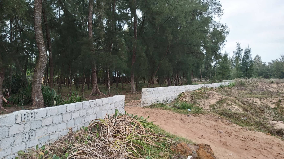 Thanh Hóa xóa rừng phòng hộ làm du lịch: Chính quyền có làm ngơ? - Hình 4 Thanh Hoa xoa rung phong ho lam du lich: Chinh quyen co lam ngo?-Hinh-4