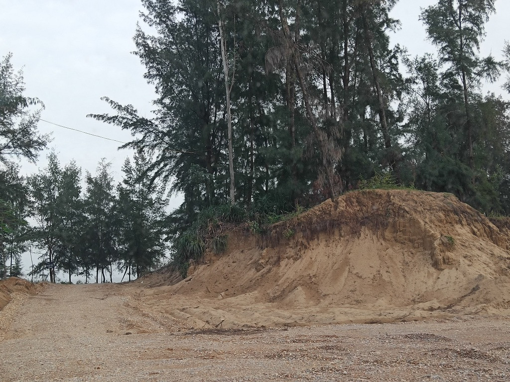 Thanh Hoa xoa rung phong ho de lam du an du lich?