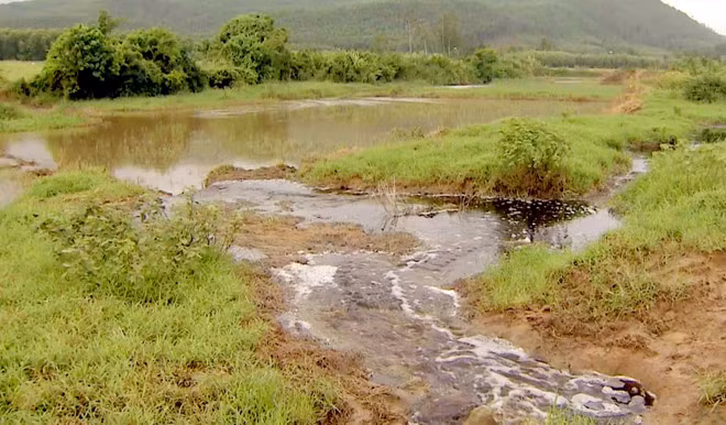 Cong ty mia duong Tuy Hoa xa thai ra moi truong