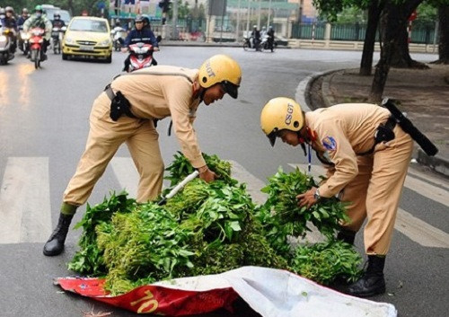 CSGT Hà Nội giúp người dân thủ đô nhặt rau trên đường