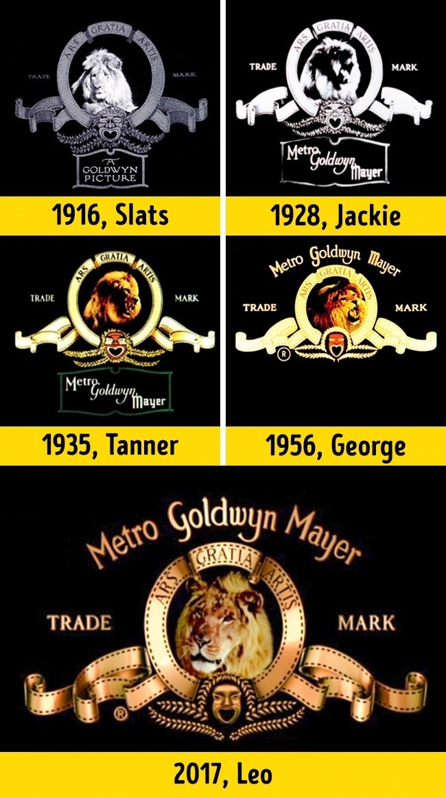  Metro-Goldwyn-Mayer: Logo huyền thoại của hãng phim này đến từ nhà báo Howard Dietz vào năm 1924. Ông đã vẽ nó dựa trên biểu tượng The Lions từ đội thể thao của trường đại học cũ của ông. Kể từ đó, MGM đã sử dụng năm chú sư tử khác nhau trên logo của họ: Slats, Jackie, Tanner, George và Leo.