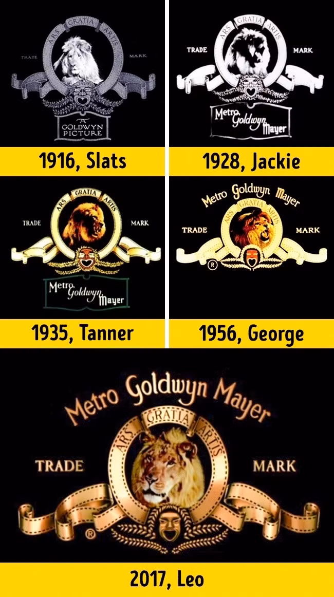  Metro-Goldwyn-Mayer: Logo huyền thoại của hãng phim này đến từ nhà báo Howard Dietz vào năm 1924. Ông đã vẽ nó dựa trên biểu tượng The Lions từ đội thể thao của trường đại học cũ của ông. Kể từ đó, MGM đã sử dụng năm chú sư tử khác nhau trên logo của họ: Slats, Jackie, Tanner, George và Leo.