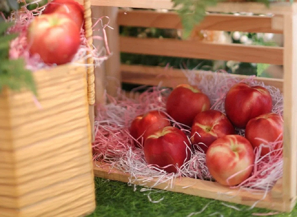 Dao va xuan dao Australia noi tieng the gioi da den thi truong Viet Nam