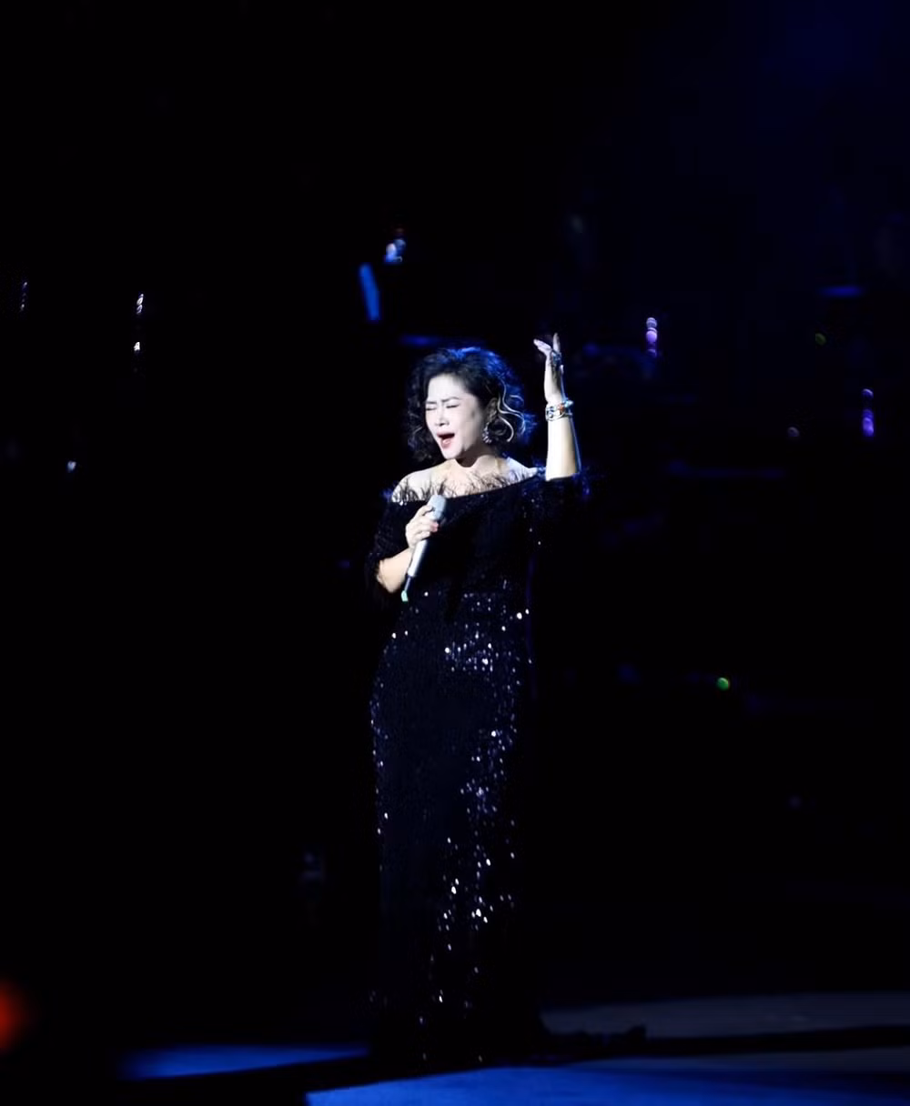 Dan nghe si tre gay bat ngo trong dem nhac Ngo Thuy Mien-Hinh-9