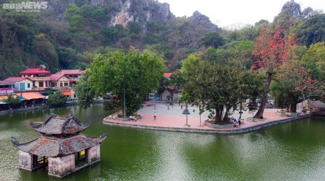 Ngoài chùa Thầy, ở Hà Nội, cây hoa gạo còn được trồng nhiều tại các con phố Trần Khánh Dư, Phạm Ngũ Lão, ngã ba Giải Phóng - Phương Mai, Trường THPT Trần Phú...