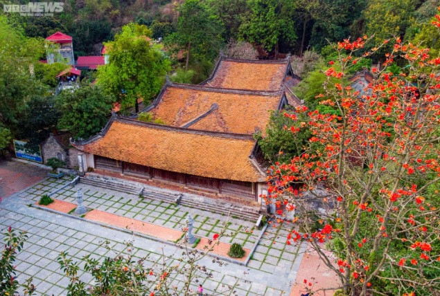 Trước kia, sân Chùa Cả (chùa chính dưới chân núi) có 5 cây hoa gạo, nhưng 4 cây đã chết, còn một cây nằm mé bên trái chùa, gần cầu “Nhật Tiên Kiều”. Mới đây, nhà chùa đã trồng thêm 2 cây mới.