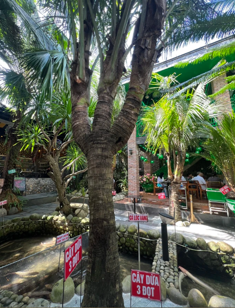 Quan ca phe doc, la o Can Tho-Hinh-2