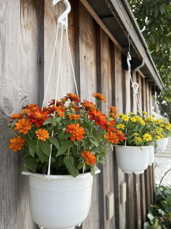 Ha Tang khoe biet thu trang hoang ngap sac hoa don Tet-Hinh-4