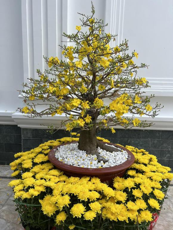 Ha Tang khoe biet thu trang hoang ngap sac hoa don Tet-Hinh-5