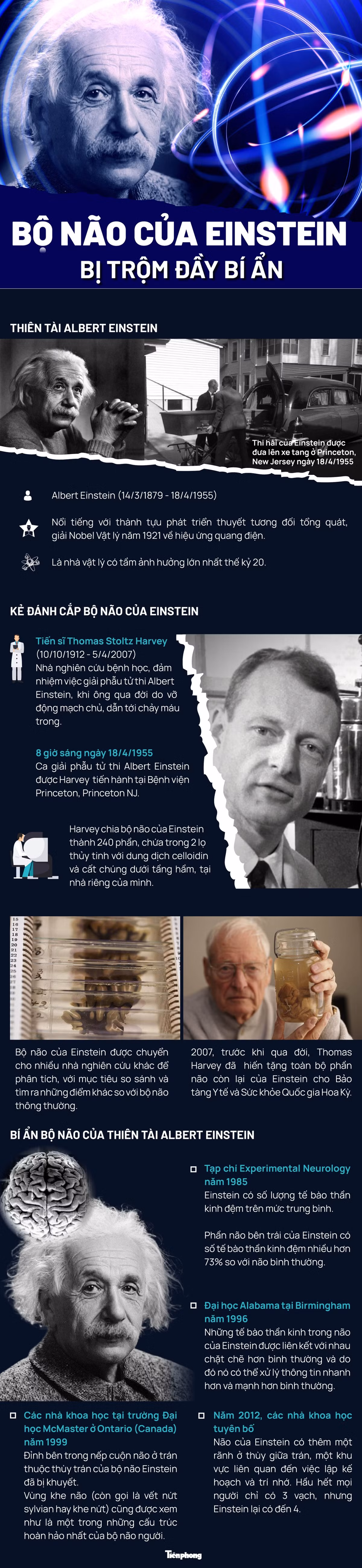 Bí ẩn vụ trộm bộ não của thiên tài Albert Einstein Bi an vu trom bo nao cua thien tai Albert Einstein