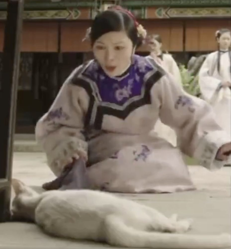 Bị phạt tù vì tung tin đoàn làm phim hại chết một con mèo Bi phat tu vi tung tin doan lam phim hai chet mot con meo