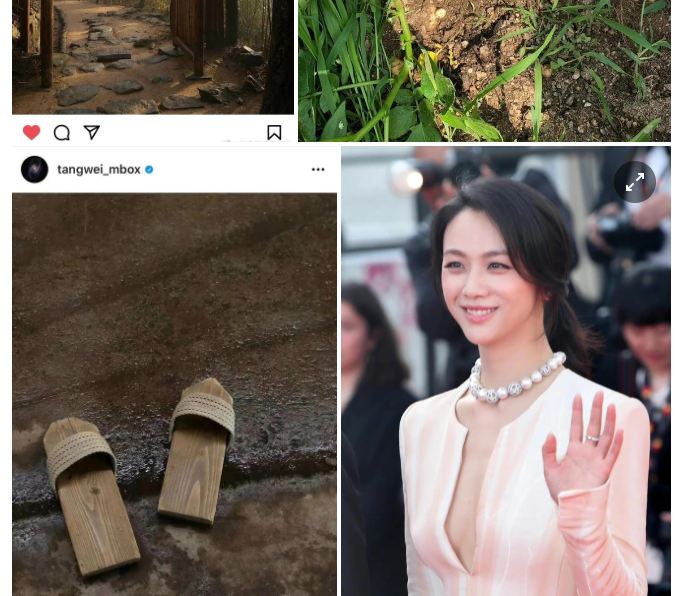 Cuộc sống ẩn dật của Thang Duy Cuoc song an dat cua Thang Duy