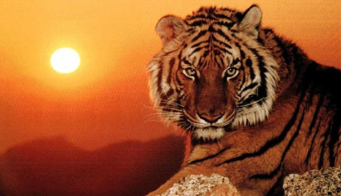 Dung Ram trung thu: 3 tuoi may man het phan thien ha