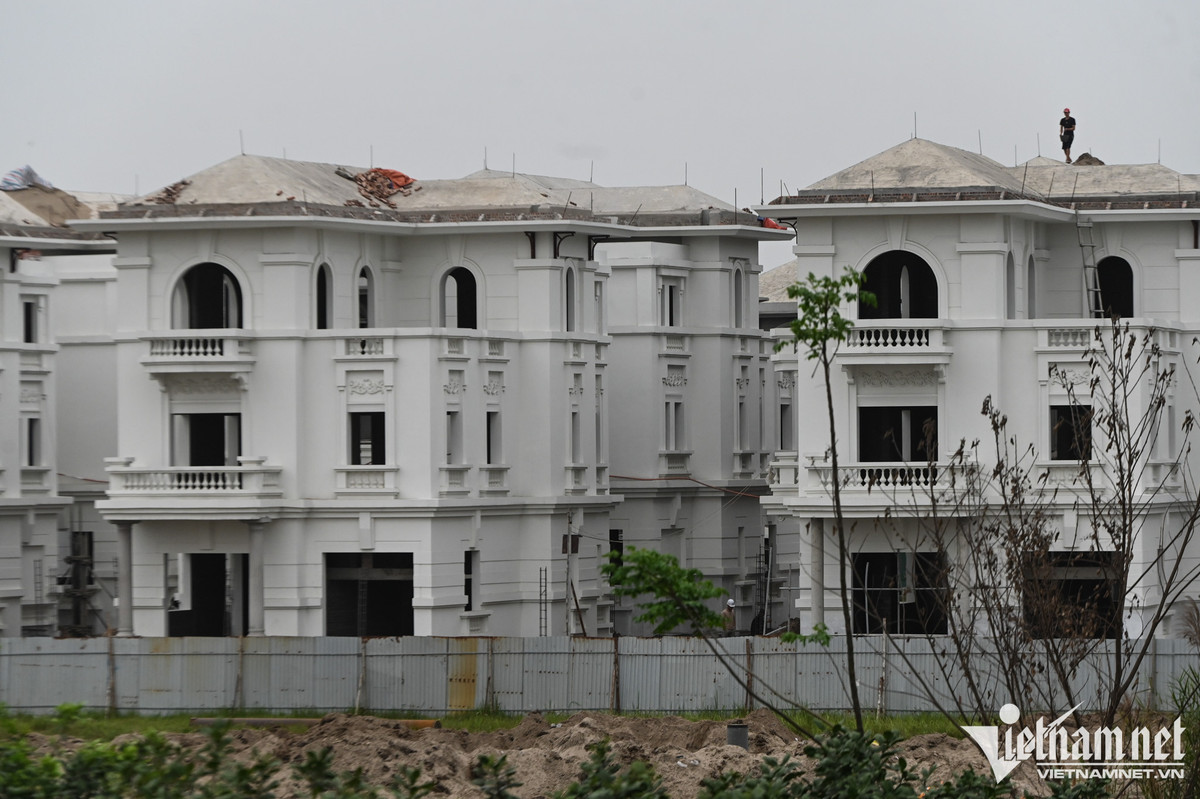 Vườn Cam được thiết kế chỉ có một cổng duy nhất ra vào để đảm bảo quản lý. Đây là một trong số ít các đô thị ở Hà Nội chỉ xây dựng biệt thự cao cấp, không có shophouse, chung cư hay nhà liền kề... Sau khi hoàn thiện, nơi đây sẽ có hệ thống hạ tầng xã hội như nhà trẻ mẫu giáo, trường học cấp 1,2,3, khu phức hợp thể thao vui chơi giải trí và 3ha dành cho khu công viên cây xanh, hồ điều hòa.