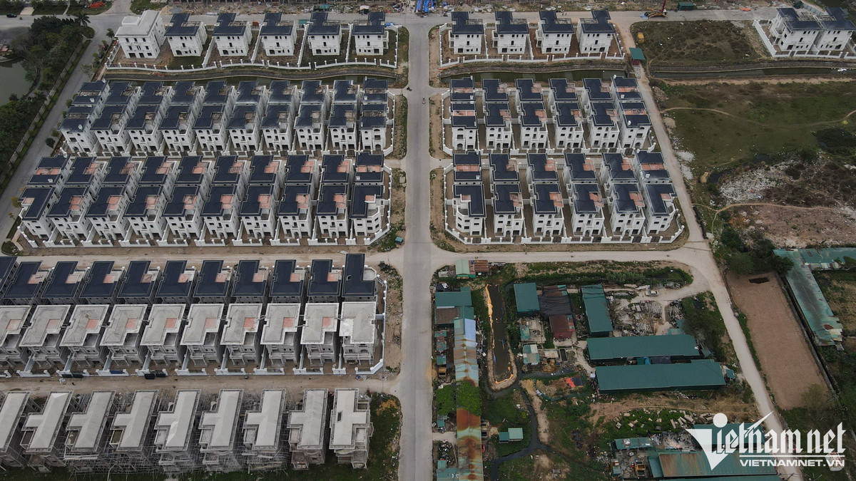 Khu biệt thự Vườn Cam có quy mô khoảng 7.000 cư dân, được thiết kế 162 lô biệt thự song lập, 260 lô biệt thự đơn lập tiêu chuẩn, 174 lô biệt thự đơn lập cao cấp, 25 lô biệt thự nhà vườn cao cấp, mỗi lô có diện tích từ 200 - 800m2.