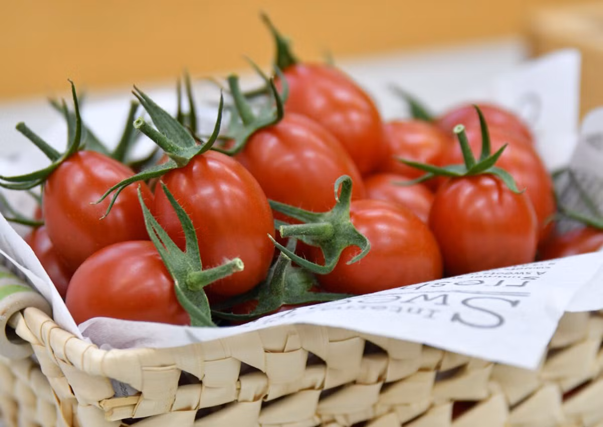 CropLife Chau A: Cong nghe va cai tien khoa hoc thuc day moi truong thuc pham lanh manh hon-Hinh-2