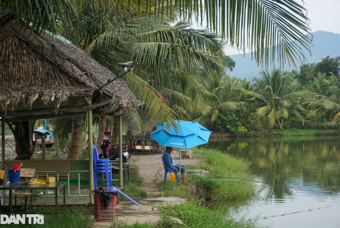 "Phất lên" trông thấy với loài cần thủ khoái săn - Hình 2 Dịch vụ câu cá giải trí thu hút du khách tìm đến trải nghiệm (Ảnh: Hoài Sơn).