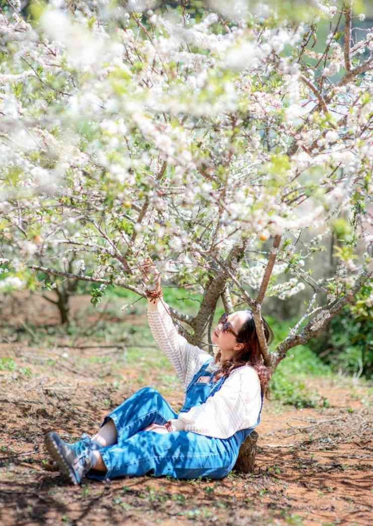 Cả thế giới hoa khoe sắc ở Đà Lạt, Lâm Đồng Ca the gioi hoa khoe sac o Da Lat, Lam Dong