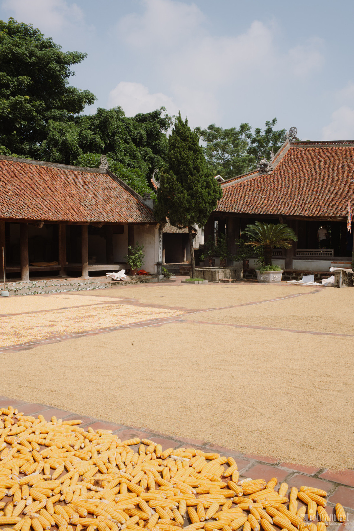 Làng cổ Đường Lâm thuộc địa phận huyện Sơn Tây, Hà Nội, cách trung tâm thành phố hơn 40km. Là quê hương của Ngô Quyền và Phùng Hưng nên ngôi làng còn được gọi là “đất hai vua.” ...như đình làng Mông Phụ đến này đã hơn 300 năm tuổi và vẫn giữ nguyên được những nét kiến trúc thủa ban đầu.