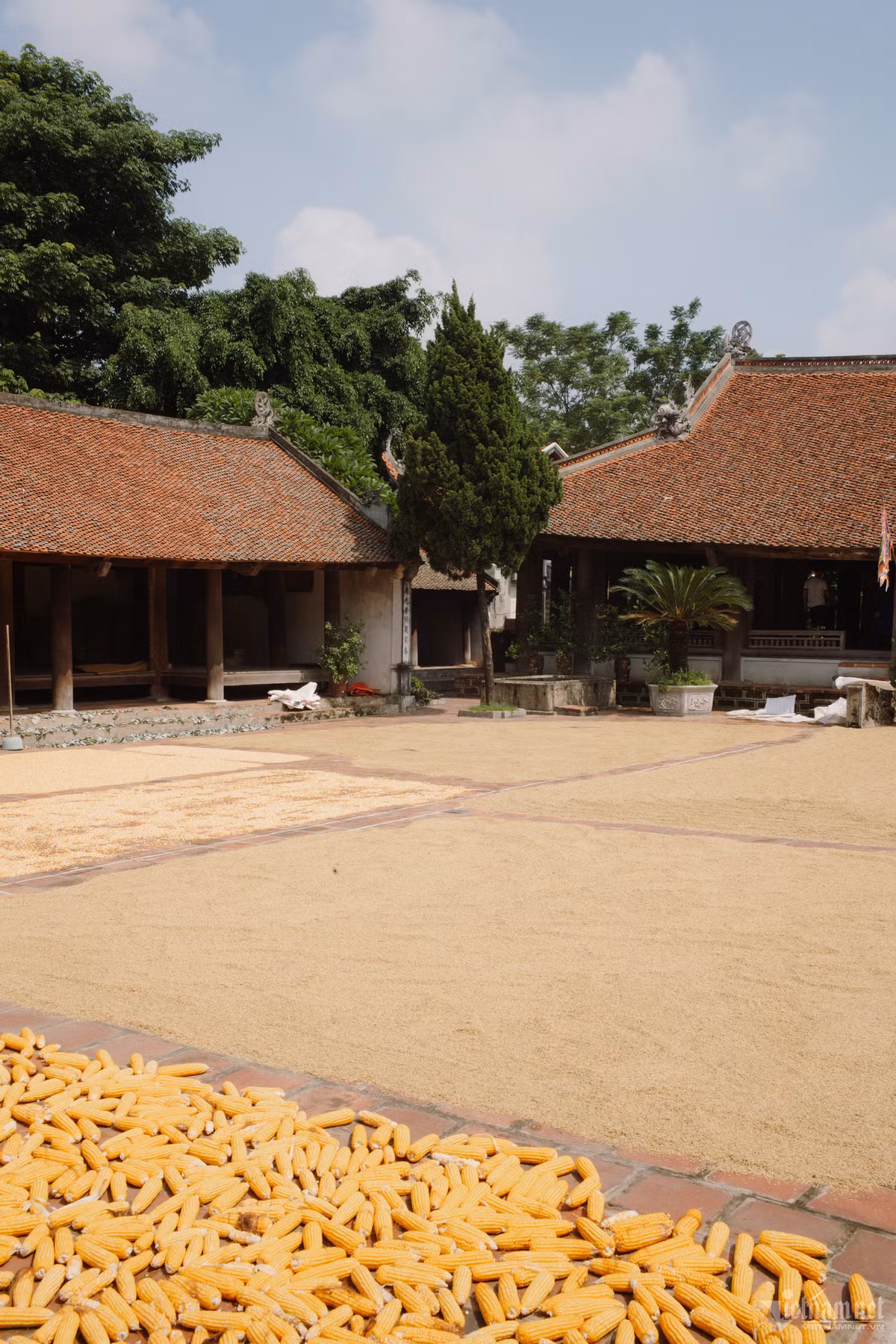 Làng cổ Đường Lâm thuộc địa phận huyện Sơn Tây, Hà Nội, cách trung tâm thành phố hơn 40km. Là quê hương của Ngô Quyền và Phùng Hưng nên ngôi làng còn được gọi là “đất hai vua.” ...như đình làng Mông Phụ đến này đã hơn 300 năm tuổi và vẫn giữ nguyên được những nét kiến trúc thủa ban đầu.