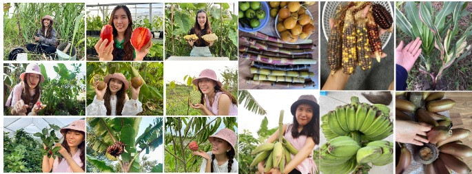 9X miền Tây mê làm nông nghiệp, trồng cả mía Hawaii, dưa châu Phi - Hình 3 9X mien Tay me lam nong nghiep, trong ca mia Hawaii, dua chau Phi-Hinh-3