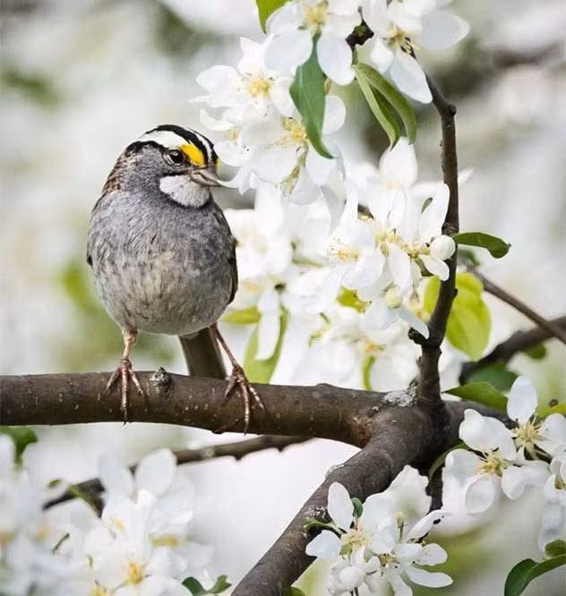 Sinh thang Am lich nay thong minh tiem an, tam nhin sang suot