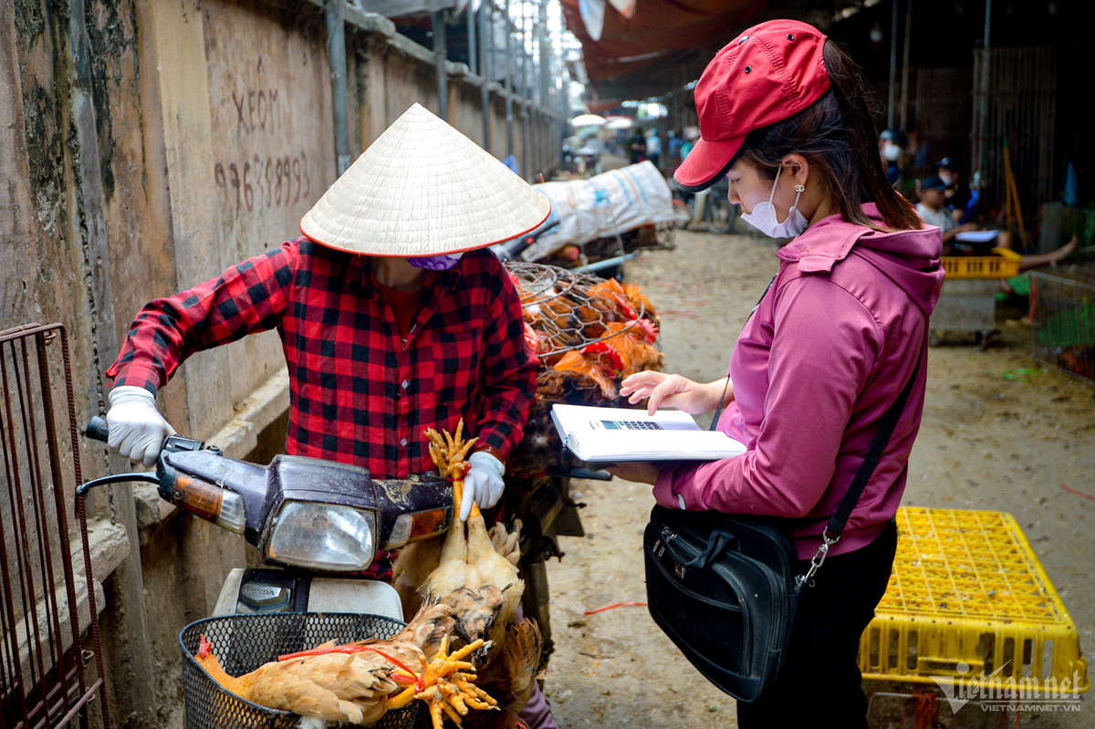 Cac ong chu nho dieu dung, 