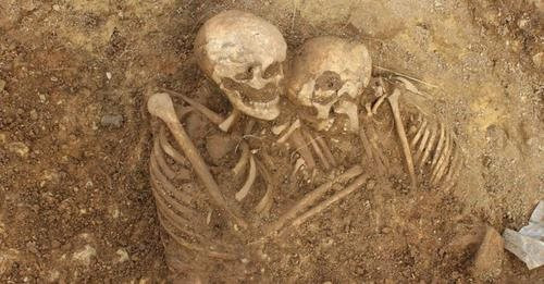 Tu the tinh cam cua hai bo hai cot gay sot du luan