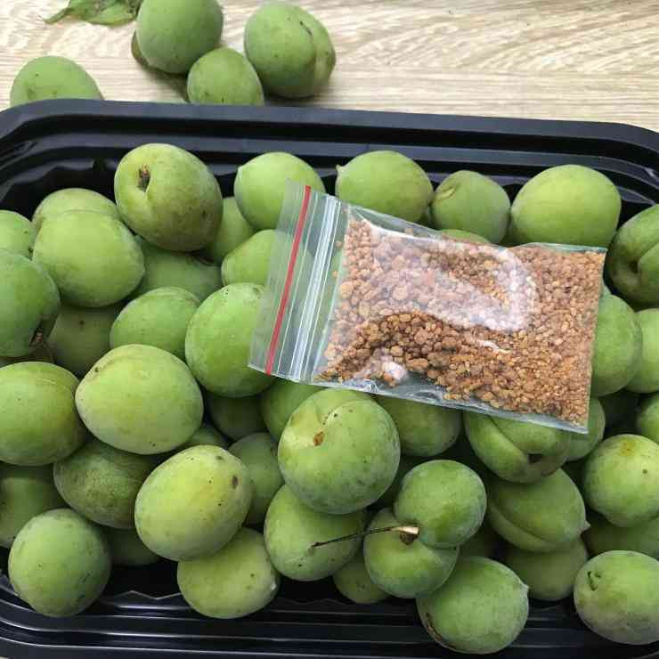 Mo xanh dau mua gia ban gap doi so voi thoi diem chinh vu