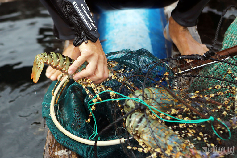 Tom hum bong giam gia van dat hon tom hum Alaska nhap khau