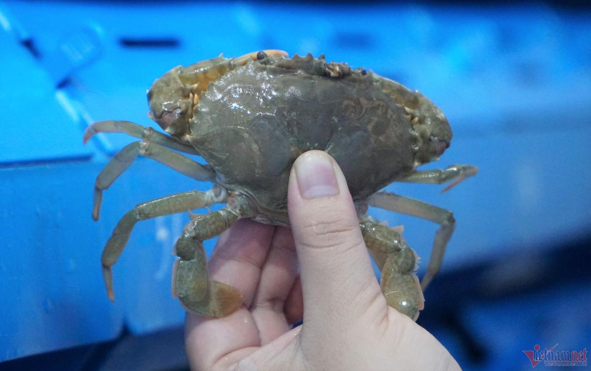 Cho nuoc bien len nui nuoi cua, 9X kiem hon nua ty moi nam-Hinh-2