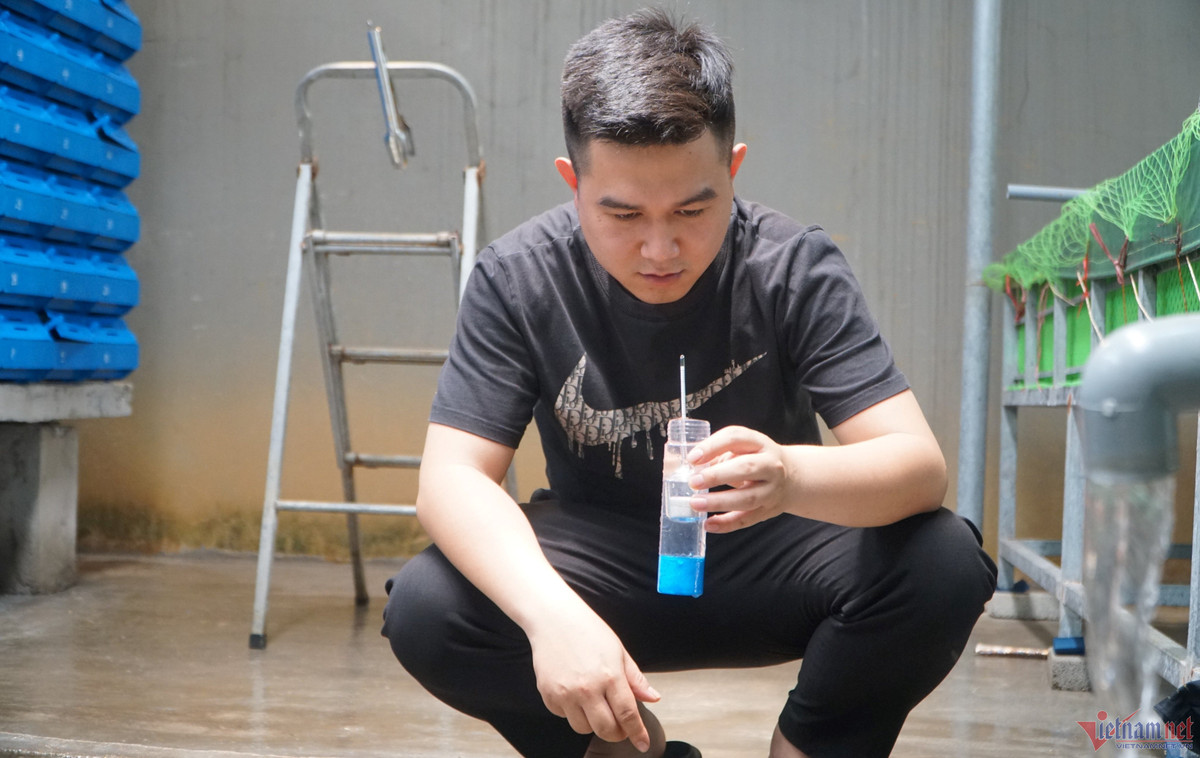 Cho nuoc bien len nui nuoi cua, 9X kiem hon nua ty moi nam-Hinh-3