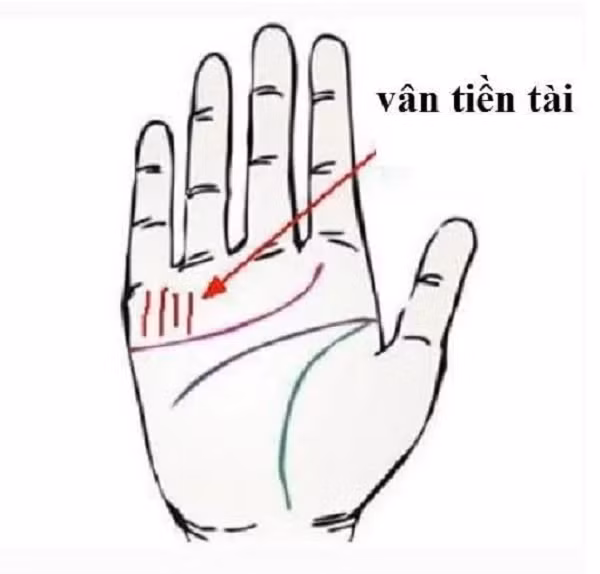 Long ban tay co 1 trong 4 duong van nay thi so giau co