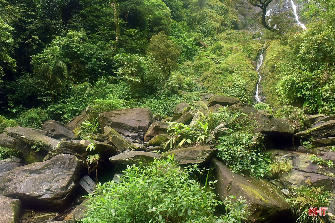 Cùng với dòng thác tuyệt đẹp, cảnh quan nơi đây còn được điểm thêm bởi những bãi đá và cây rừng xanh mướt. Những khung cảnh này hòa quyện tạo thêm vẻ hoang dã cho danh thắng.