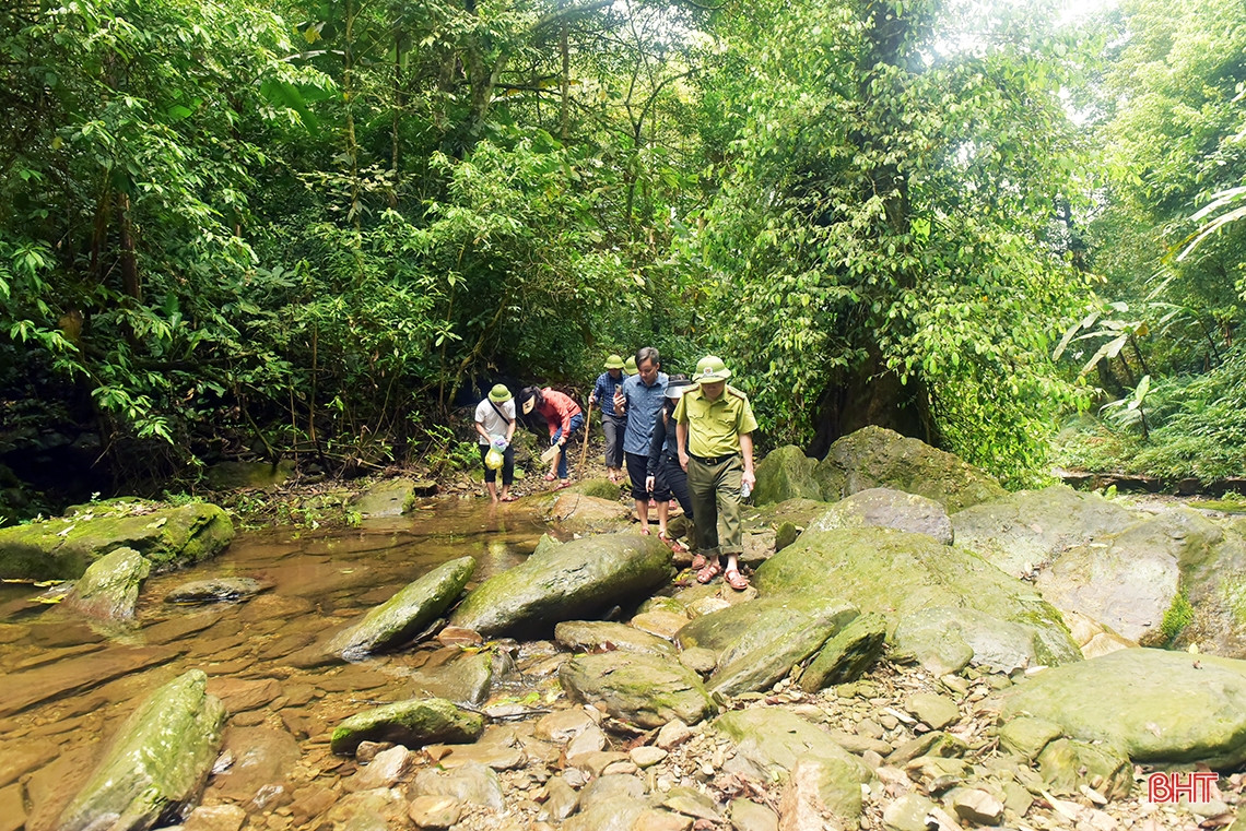 Thác Tiên cách trung tâm thị trấn Hương Khê khoảng 30km. Du khách có thể di chuyển bằng các phương tiện cơ giới như ô tô, xe máy đến cung đường tuần tra biên giới thuộc xã Phú Gia, sau đó chỉ cần đi bộ khoảng 2km là đến chân thác.