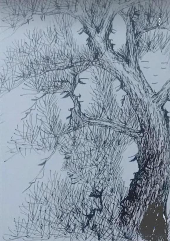 Trac nghiem tam ly: Co 18 khuon mat an giau trong cay thong