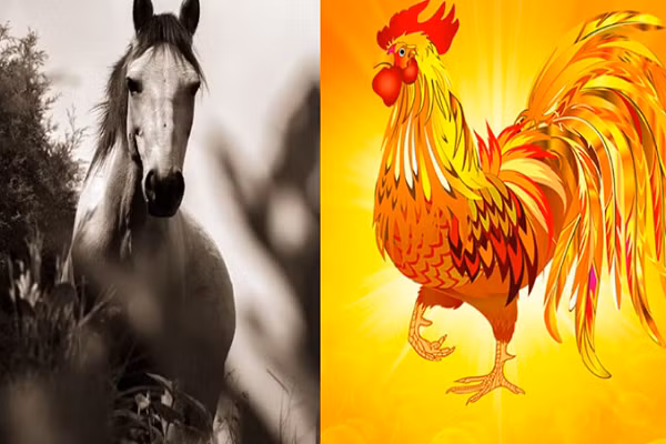 Thời điểm này, những người tuổi Ngọ cũng nên học thêm các kiến thức, kỹ năng khác nhau để bổ trợ cho công việc. Chúng ta có thể học hỏi cả đời vẫn không đủ nên hãy làm bản thân mình tốt lên từng ngày. Đây cũng là nền tảng tốt để bạn có thể bứt phá và gặt hái nhiều thành công. 